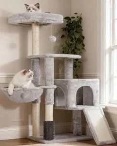 Un arbre à chat gris